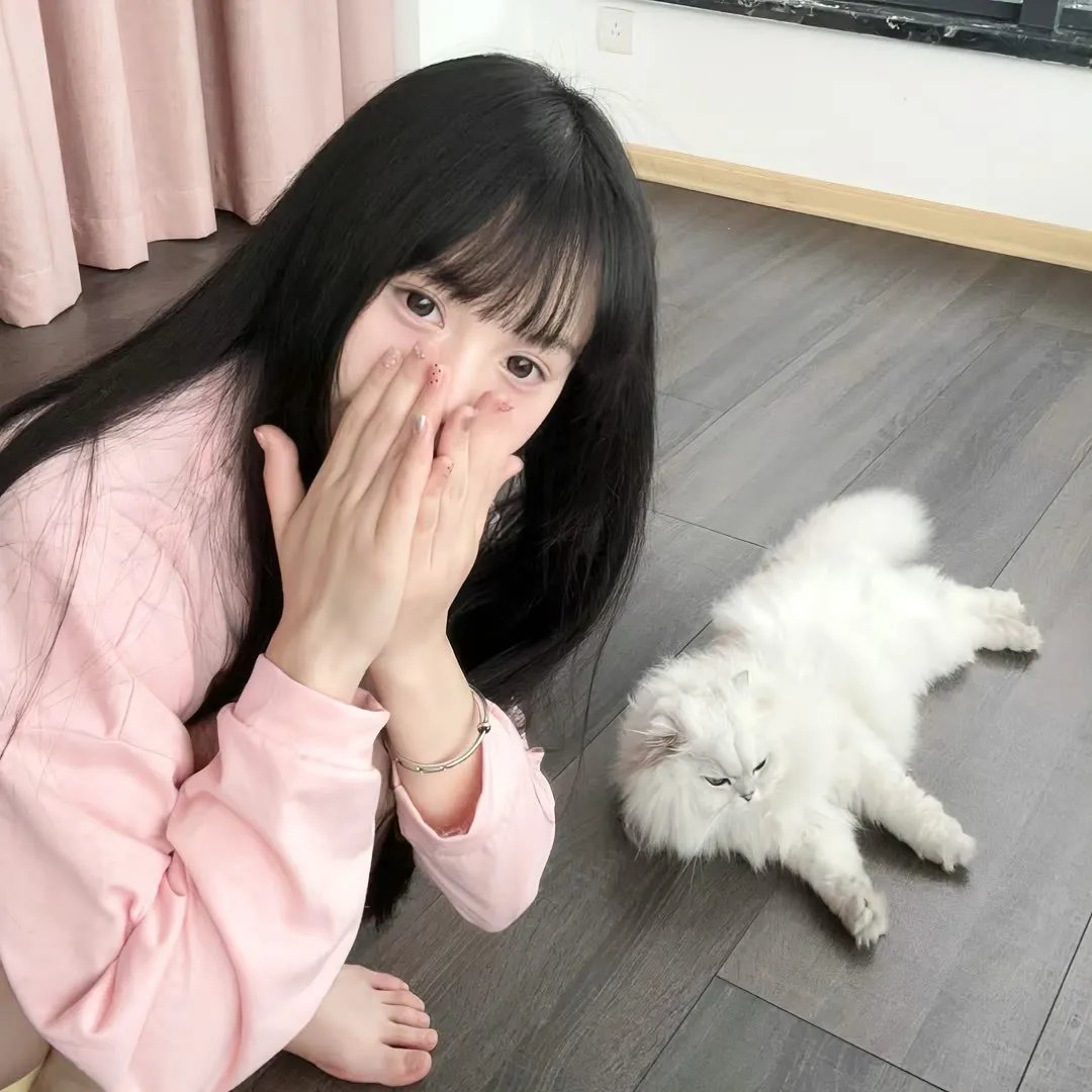 大护法