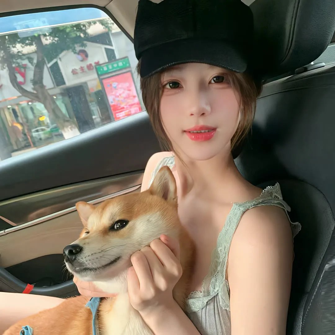 风尘奇士